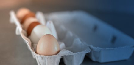 egg-article
